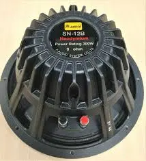 SN12B